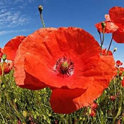 亚博AG娱乐app下载截图